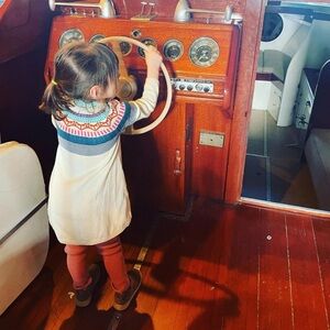 Tea Collection Fox Sweater Dress 5